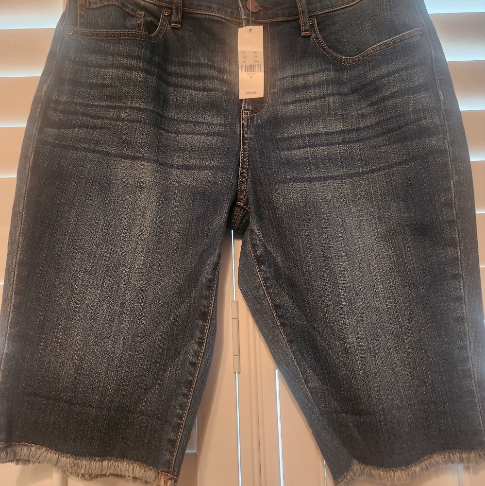 Brand New Soho Blue Jean Shorts